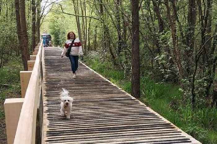 Charming nature reserve 14 minutes from Surrey reopens with new boardwalk allowing visitors to explore beauty spot