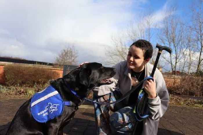 Wonder dog gives Bristol woman her life back after rare condition left her unable to go out