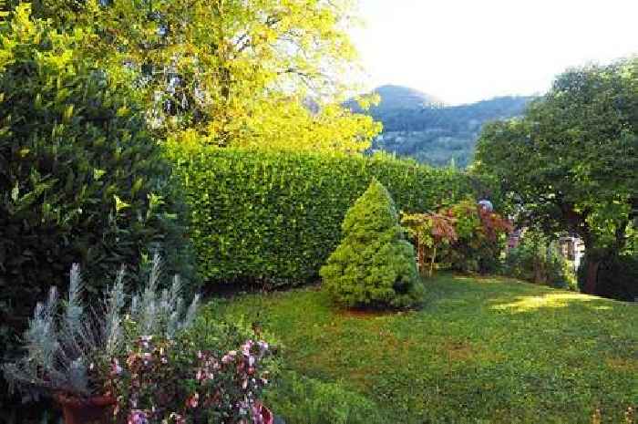Everyone with a garden hedge urged to do important check before end of June