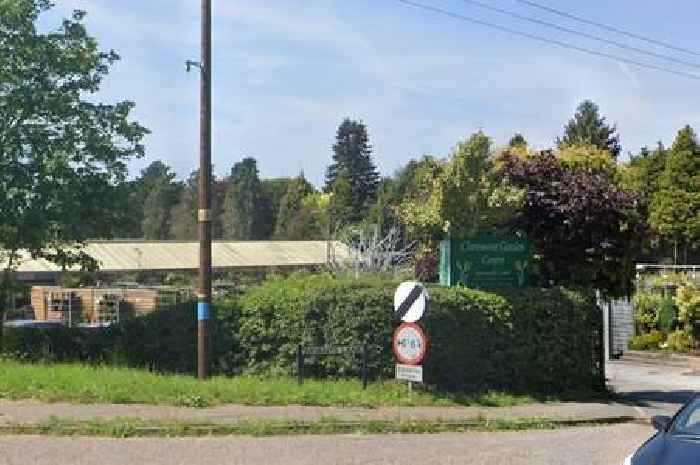 The 'great' family-run Essex garden centre with 'reasonable' prices loved by Mrs Hinch
