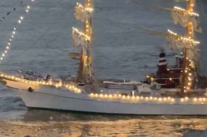 Brooklyn Bridge horror as 270ft Mexican training vessel crashes into it with 'multiple people in water'