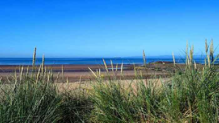 Boy dies after 'disturbance' at beach