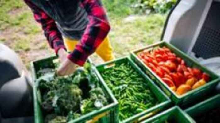 Agri-food deal in UK-EU agreement could reduce sea border impact