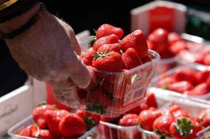 Tesco and Sainsbury's customers issued warning over strawberries as unusual conditions lead to massive change