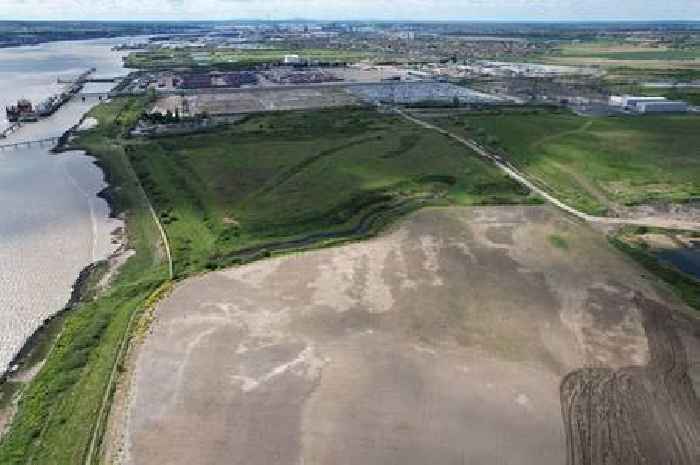Major plans submitted for 100-acre expansion of Tilbury Port