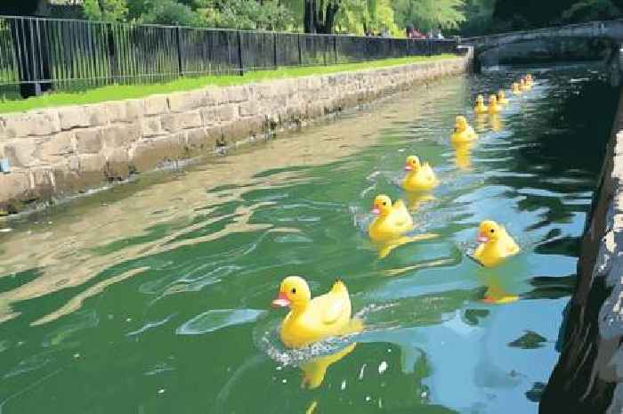 Scottish World Heritage Site to host Duck Festival with rubber duck race this weekend