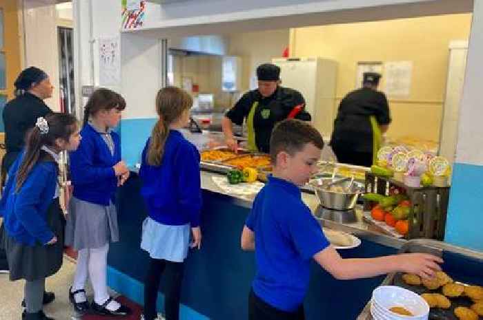 Major changes planned for primary school meals in Wales with new rules on milk, cheese, juice, meat, and more