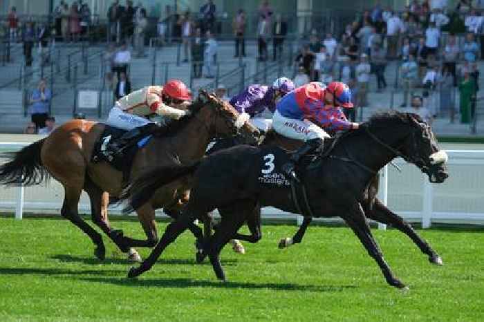 Mojo looks set to Fire up Big Commonwealth Cup claims