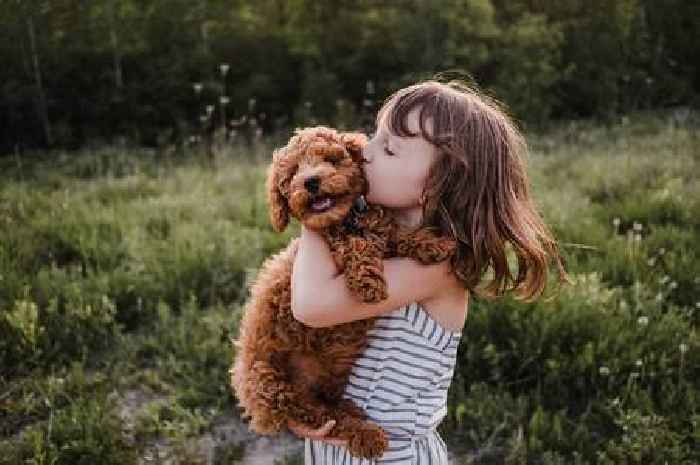 'I worked as a dog handler - families shouldn't pick these three dog breeds'