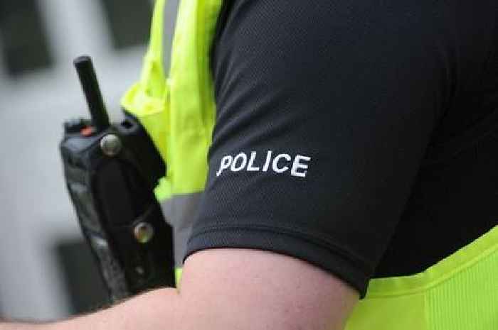 Man's body found in Exeter woodland