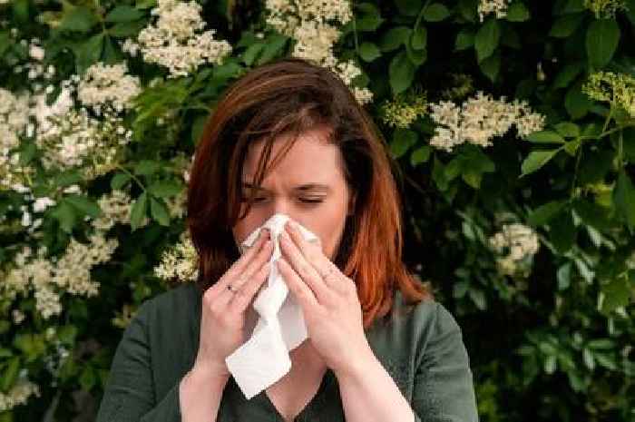 Experts shares reason why hay fever causes breathing problems