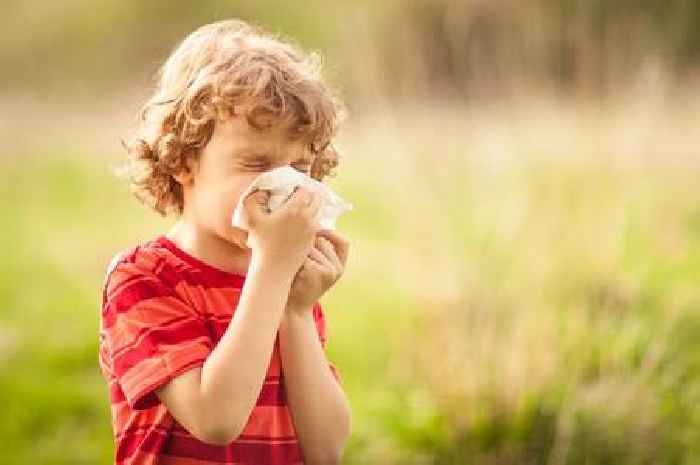 Experts share why hay fever causes breathing problems and how to reduce symptoms