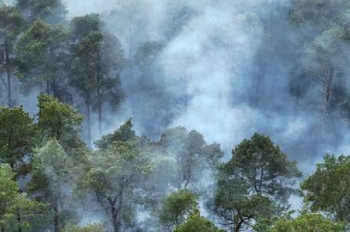 Live wildfire updates as firefighters battle Farnham blaze