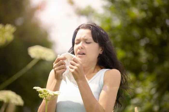 Experts finally explain if hay fever causes breathing problems