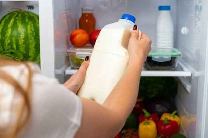 Brits warned about storing staple fridge item in the door
