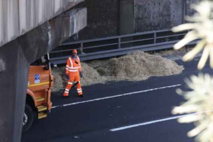 M8 traffic jam after lorry sheds load of hay on busy carriageway
