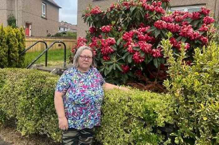 Scots pensioner fears she's being 'watched' after Christmas tree dumped in her garden