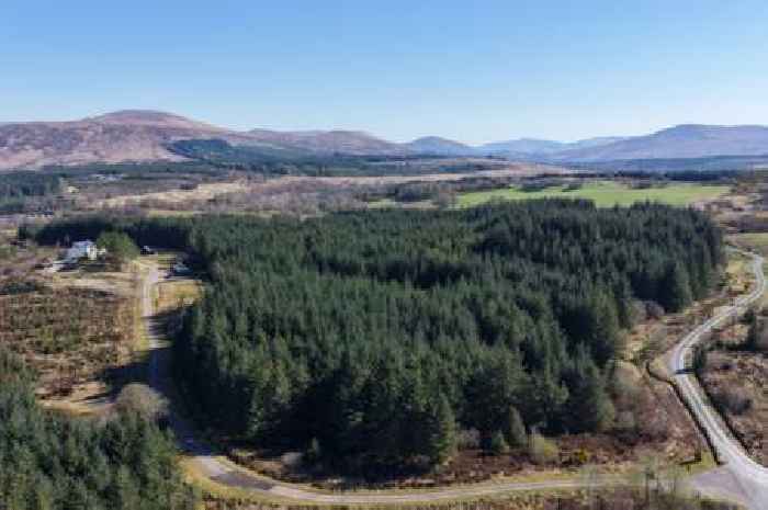 Scottish woodland with stunning views of Ben Nevis on sale for offers over £185000
