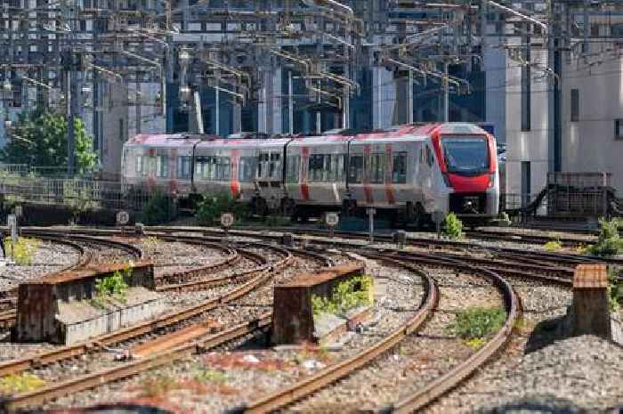 Live updates as all trains stopped between Cardiff and Newport due to animals on line