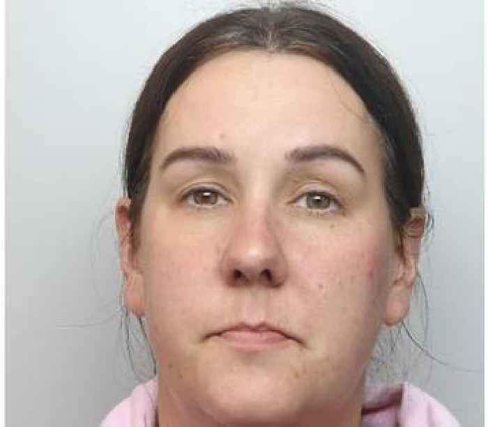 Wife of former Tory councillor loses appeal against sentence for racial hatred post