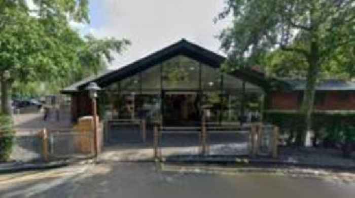 McDonald's applies to remove six protected trees