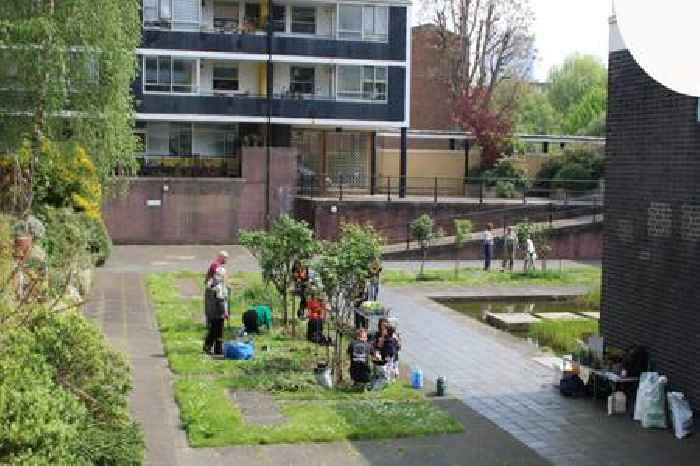Spring Gardening Day Blooms With Community Spirit on Golden Lane Estate