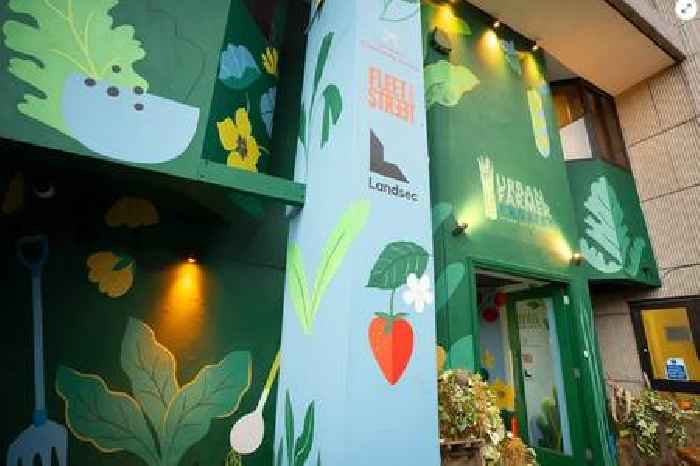 Urban Farmer Project