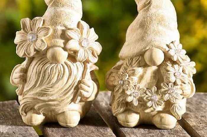 Next shoppers love 'cute' £35 garden light that's 'too nice to go outside'