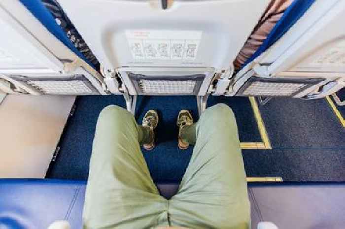 Holidaymaker leaves opinion divided with furry surprise on airplane
