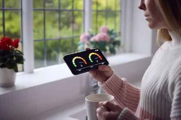Martin Lewis issues update to British Gas, Octopus, Eon, EDF and OVO customers and says 'far cheaper'