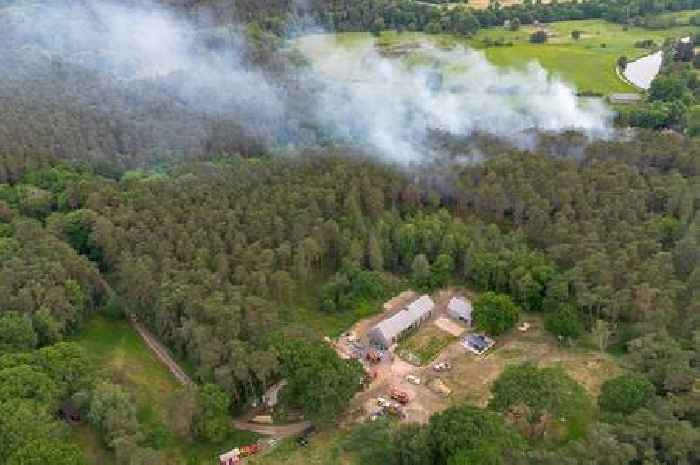 People told to 'avoid the area' as firefighters continue to tackle wildfire near Farnham