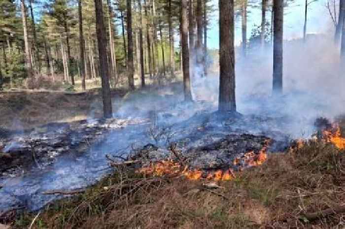 Barbecues and fires banned at famous Welsh beach side beauty spot