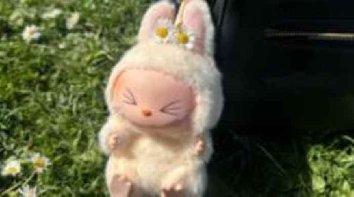 Labubu fan fury after dolls pulled from stores