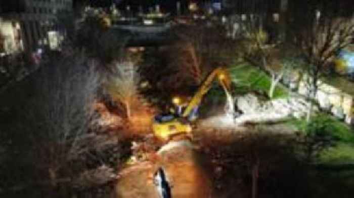 Plymouth tree felling fiasco cost more than £3.3m