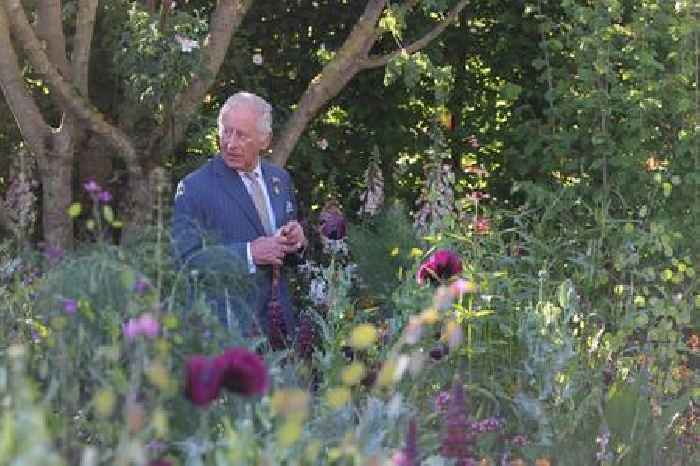 The Capitalist: Chelsea Flower Show shuns celeb, a female billionaire boom and Reform vs Reform