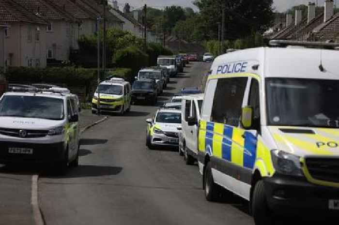 Live: Police with dogs swarm Bristol street