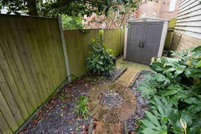 Banish patio moss with easy natural solution - not vinegar or bleach
