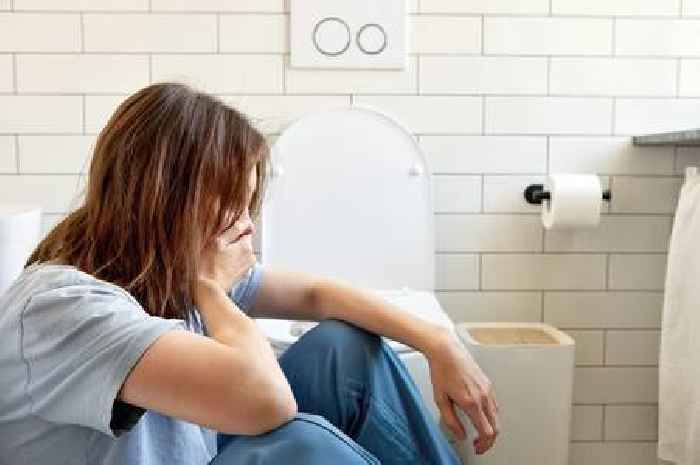 Mosquitoes carrying West Nile virus found in UK for first time - symptoms to spot