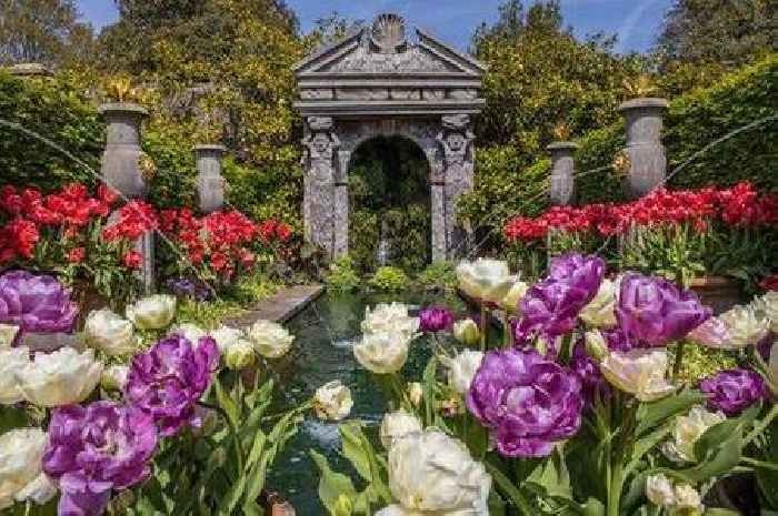 The beautiful UK hidden gem that's reminiscent of a scene from a Disney movie