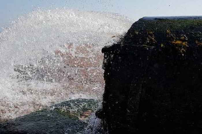 New teams crack down on Devon pollution hotspots
