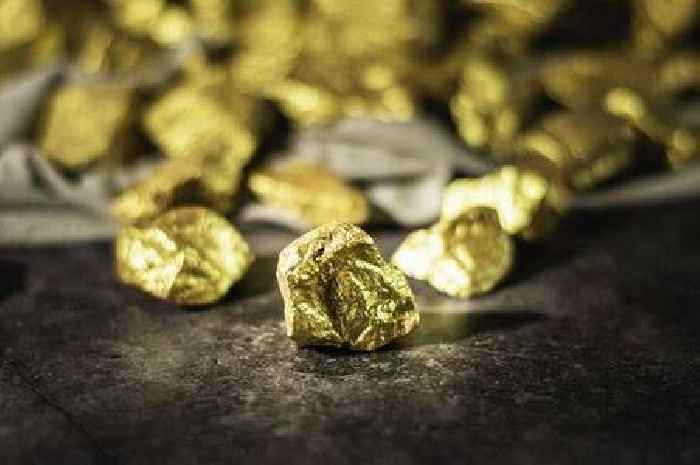 Farmer unearths £3billion of gold on his land - but can't keep a penny