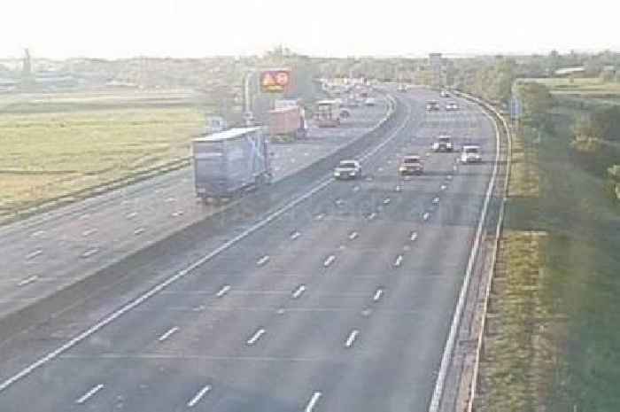 Live M6 updates as 'animals on road'