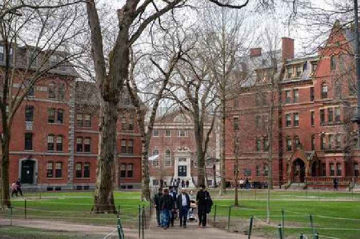 News24 | Trump administration blocks Harvard’s ability to enroll international students