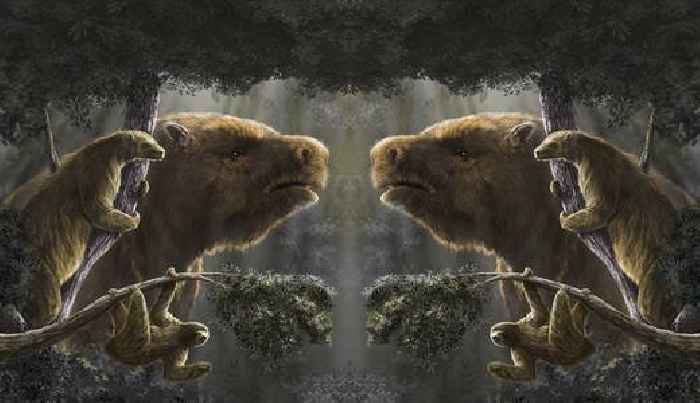8,000-pound sloths once roamed North America. Where’d they go?