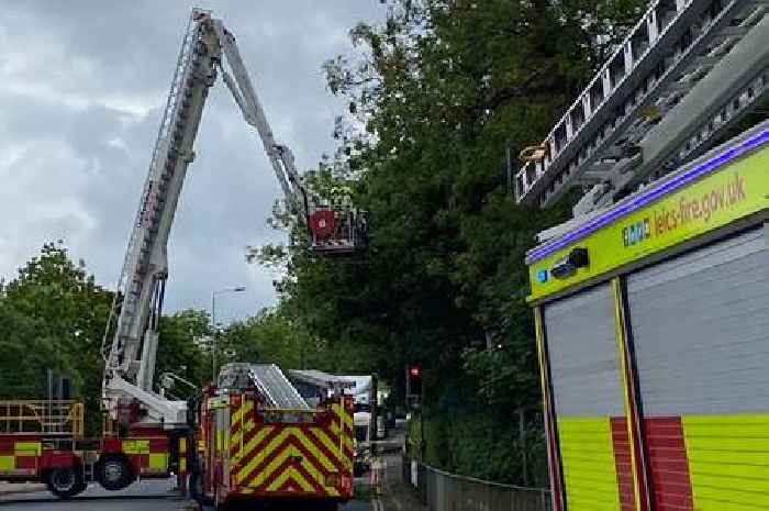 Roads closed as man gets stuck up tree trying to rescue pet parrot in Leicestershire
