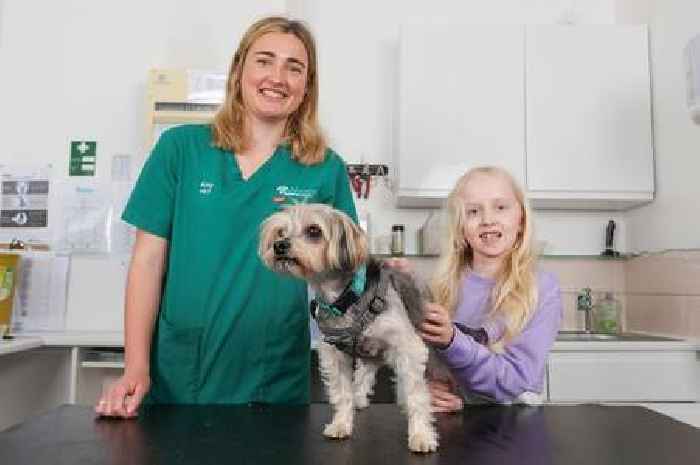 Sick terrier called Princess found with 80 hairbands, scrunchies and a headband inside her