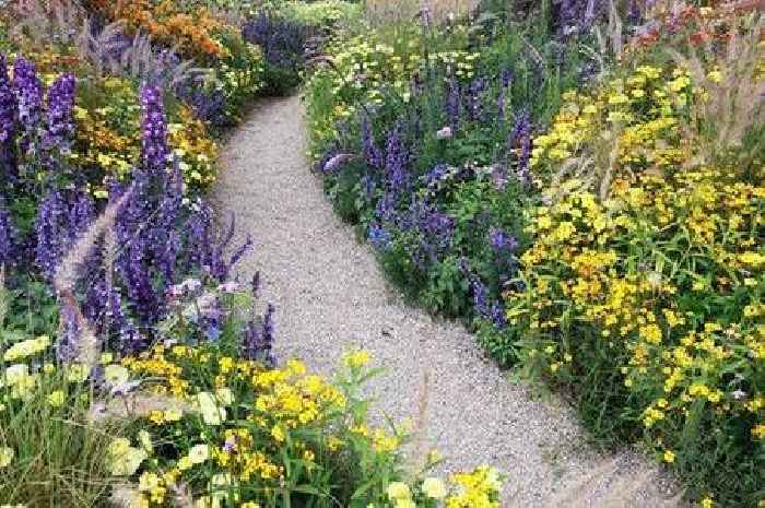 Gardening expert shares one simple tip to make sure your flowers thrive this summer