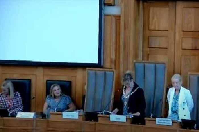 New Lib Dem chair elected in face of Reform UK abstentions