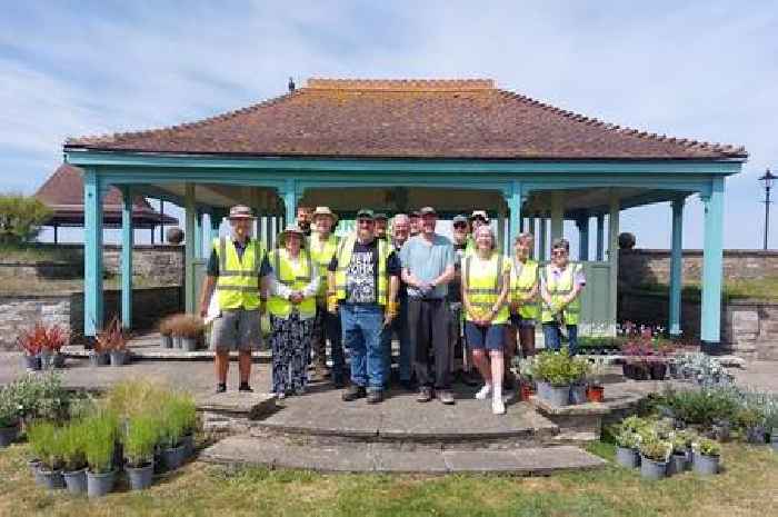 Volunteers bring splash of colour to Marine Cove with community planting push