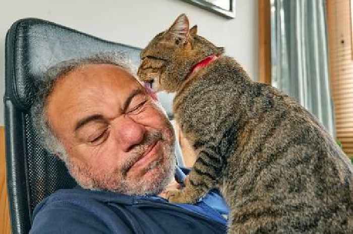 Cat expert shares real reason why felines lick you and what to do if they do it too much